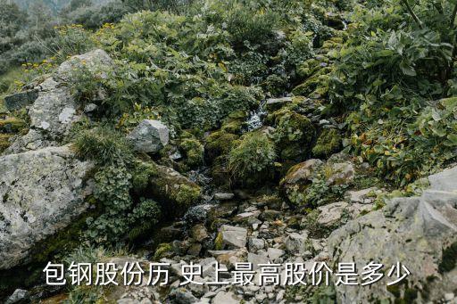 包鋼股份歷 史上最高股價(jià)是多少