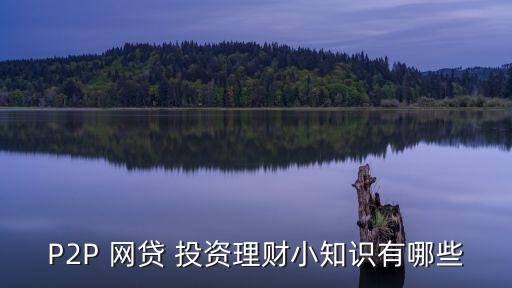 P2P 網(wǎng)貸 投資理財(cái)小知識有哪些