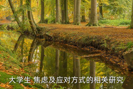 大學生 焦慮及應對方式的相關研究