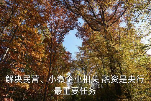 解決民營、小微企業(yè)相關(guān) 融資是央行最重要任務(wù)