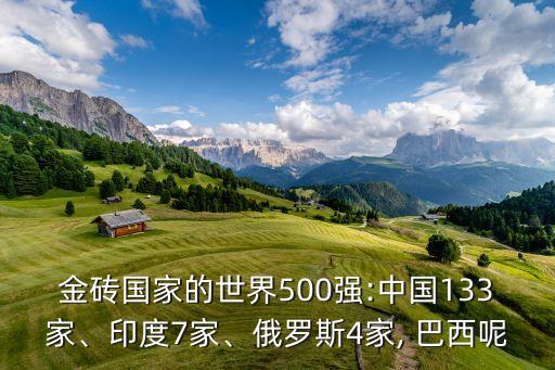 金磚國家的世界500強:中國133家、印度7家、俄羅斯4家, 巴西呢