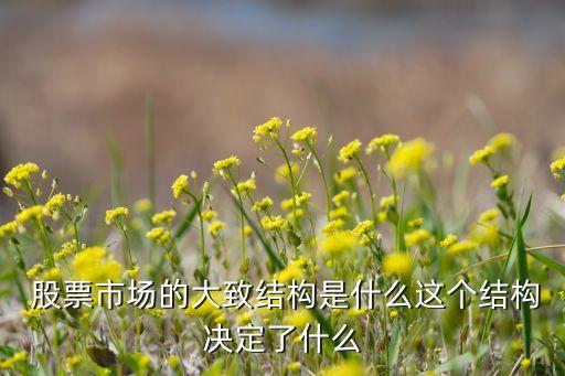  股票市場的大致結構是什么這個結構決定了什么