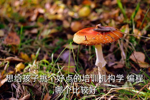 想給孩子挑個好點的培訓(xùn)機(jī)構(gòu)學(xué) 編程,哪個比較好