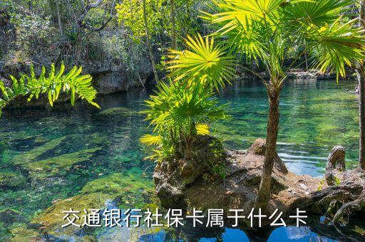 交通銀行社?？▽儆谑裁纯? class=
