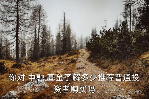 你對(duì) 中融 基金了解多少推薦普通投資者購(gòu)買(mǎi)嗎