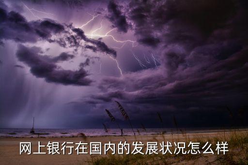 網(wǎng)上銀行在國內的發(fā)展狀況怎么樣