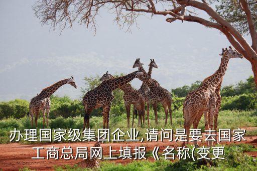 辦理國家級集團(tuán)企業(yè),請問是要去國家工商總局網(wǎng)上填報《名稱(變更
