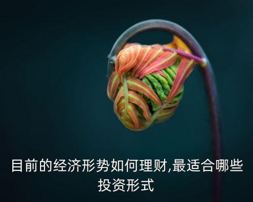 目前的經濟形勢如何理財,最適合哪些投資形式