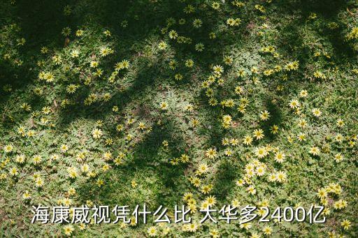 ?？低晳{什么比 大華多2400億