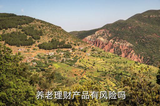  養(yǎng)老理財產品有風險嗎