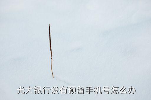  光大銀行沒有預(yù)留手機(jī)號怎么辦