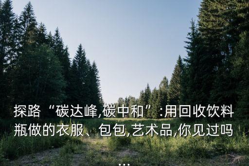 探路“碳達(dá)峰,碳中和”:用回收飲料瓶做的衣服、包包,藝術(shù)品,你見過嗎...