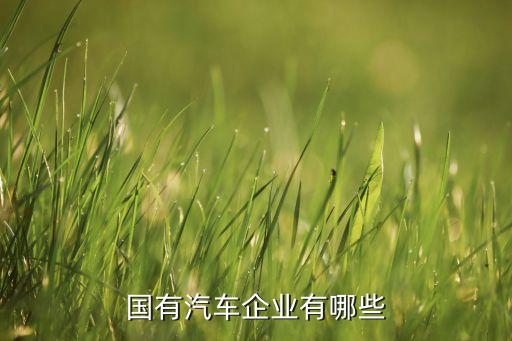 國(guó)有汽車企業(yè)有哪些