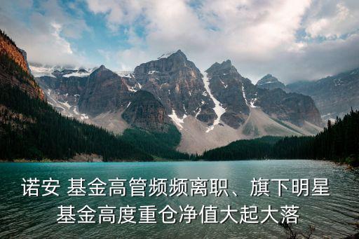 諾安 基金高管頻頻離職、旗下明星 基金高度重倉凈值大起大落