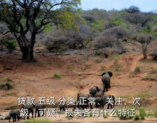  貸款 五級(jí) 分類,正常、關(guān)注、次級(jí)、可疑、損失各有什么特征