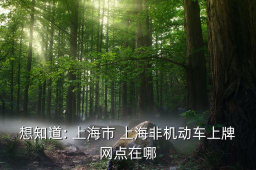 想知道: 上海市 上海非機(jī)動車上牌網(wǎng)點(diǎn)在哪