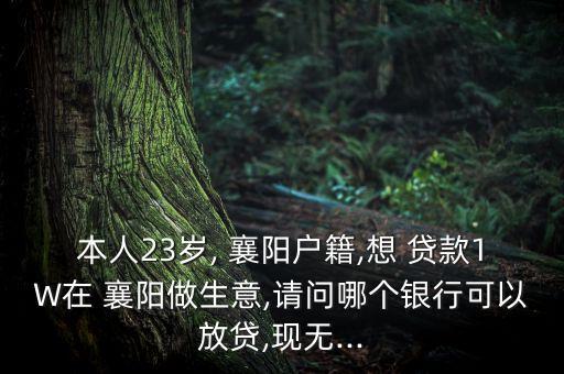 本人23歲, 襄陽(yáng)戶(hù)籍,想 貸款1W在 襄陽(yáng)做生意,請(qǐng)問(wèn)哪個(gè)銀行可以放貸,現(xiàn)無(wú)...