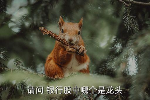 請問 銀行股中哪個(gè)是龍頭