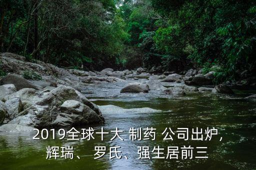 2019全球十大 制藥 公司出爐,輝瑞、 羅氏、強(qiáng)生居前三