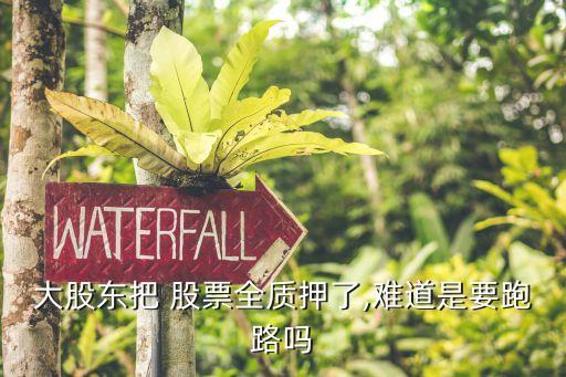 大股東把 股票全質押了,難道是要跑路嗎