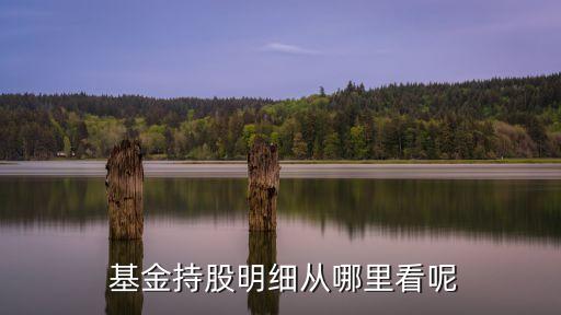 什么軟件社?；鸪謧}(cāng)情況
