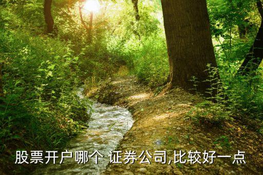股票開戶哪個 證券公司,比較好一點