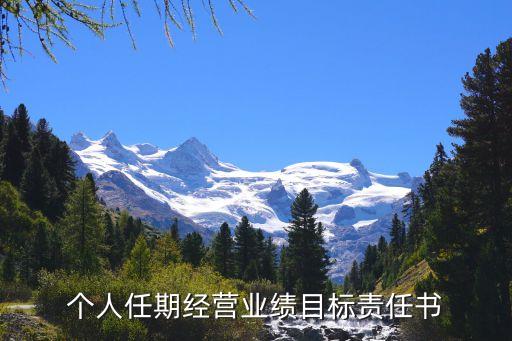 個人任期經(jīng)營業(yè)績目標責(zé)任書