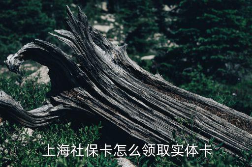 上海領醫(yī)?？ǖ牡胤?上海醫(yī)保卡可以在其他地方用嗎