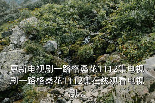 更新電視劇一路格?；?112集電視劇一路格桑花1112集在線觀看電視劇...