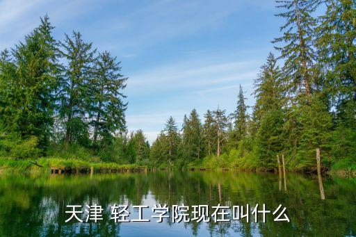 天津 輕工學院現(xiàn)在叫什么
