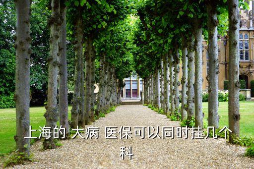  上海的 大病 醫(yī)?？梢酝瑫r(shí)掛幾個(gè)科