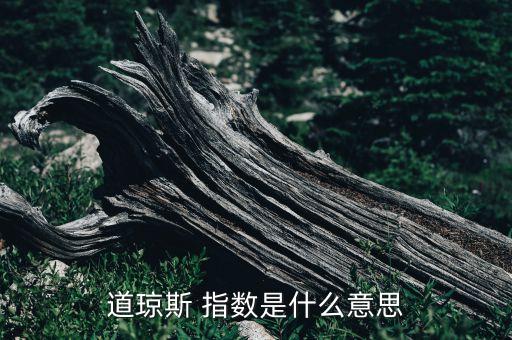 股票平均價格指數,股票的價格指數是什么意思