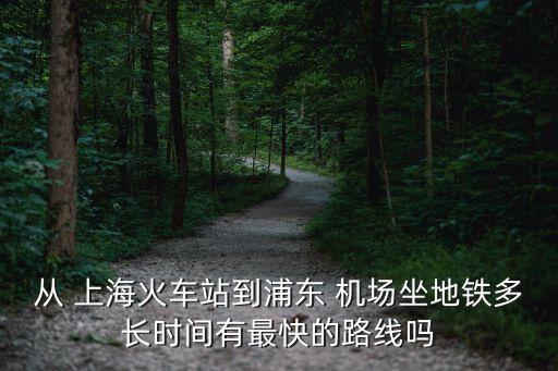 從 上?；疖囌镜狡謻| 機(jī)場(chǎng)坐地鐵多長(zhǎng)時(shí)間有最快的路線嗎