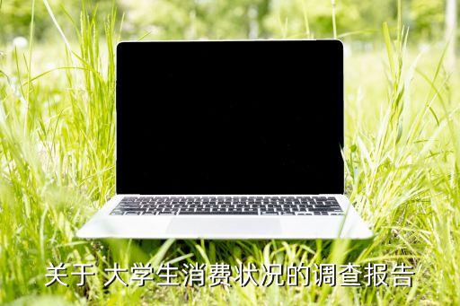 關(guān)于 大學(xué)生消費狀況的調(diào)查報告