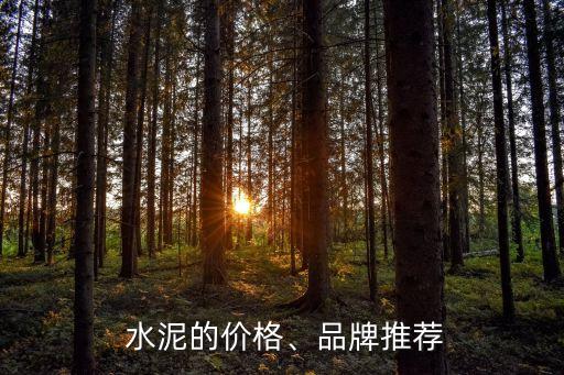上海自貿(mào)區(qū)南方水泥,上海南方水泥主要領(lǐng)導名單