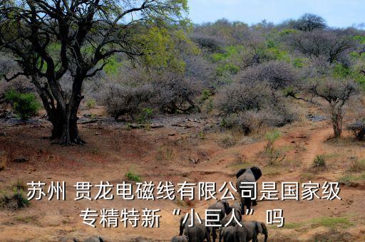  蘇州 貫龍電磁線有限公司是國家級(jí)專精特新“小巨人”嗎