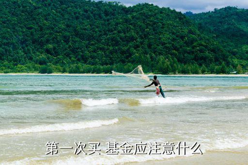 基金發(fā)售首日買(mǎi)入有什么好