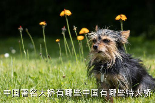 中國(guó)重載鐵路橋梁類(lèi)型,重載鐵路閉塞類(lèi)型