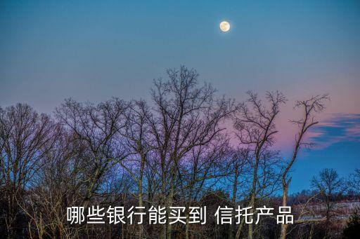 哪些銀行能買到 信托產品