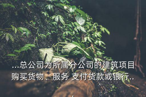 ...總公司為所屬分公司的建筑項目購買貨物、服務(wù) 支付貨款或銀行...
