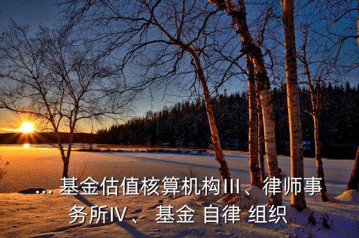 ... 基金估值核算機構(gòu)Ⅲ、律師事務(wù)所Ⅳ、 基金 自律 組織