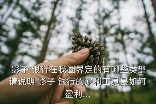  影子 銀行在我國(guó)界定的有哪些類(lèi)型請(qǐng)說(shuō)明 影子 銀行的暴利工具是如何盈利...