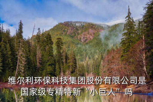  維爾利環(huán)?？萍技瘓F(tuán)股份有限公司是國家級專精特新“小巨人”嗎