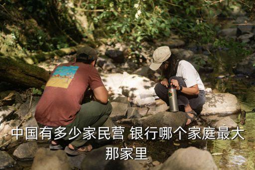 中國有多少家民營 銀行哪個(gè)家庭最大那家里