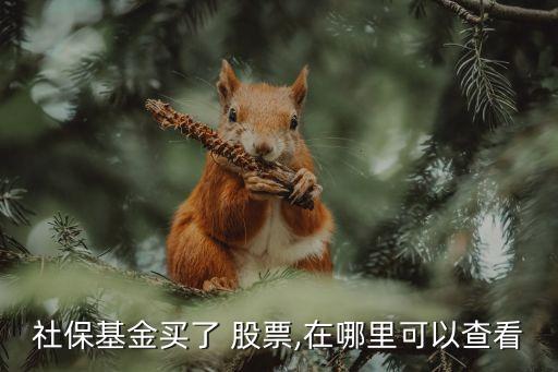 社?；鹳I了 股票,在哪里可以查看
