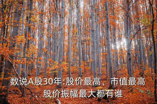 數(shù)說(shuō)A股30年:股價(jià)最高、市值最高、股價(jià)振幅最大都有誰(shuí)
