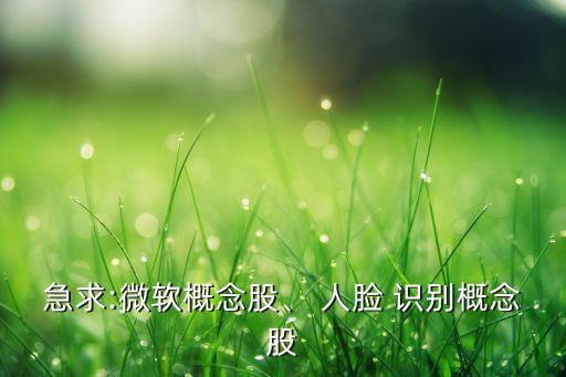 急求:微軟概念股、 人臉 識別概念股