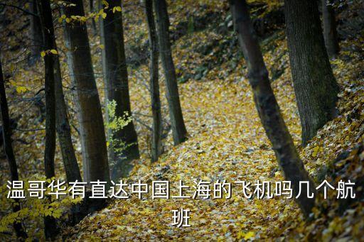 溫哥華有直達(dá)中國上海的飛機嗎幾個航班