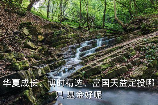 華夏成長(zhǎng)、博時(shí)精選、富國(guó)天益定投哪只 基金好呢