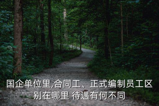 國企單位里,合同工、正式編制員工區(qū)別在哪里 待遇有何不同